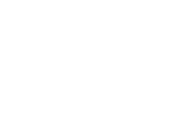 Crunchfinn Logo